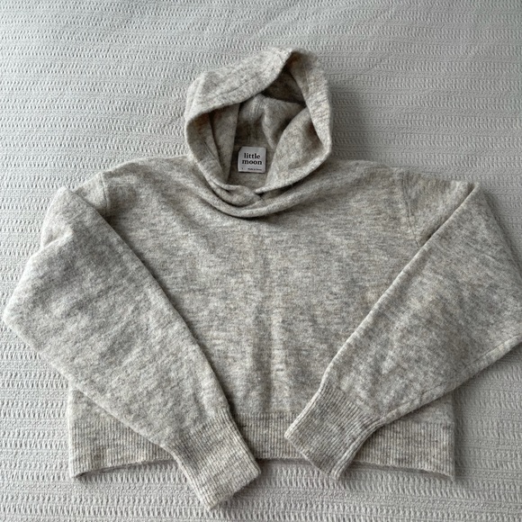 Aritzia Sweaters - Aritzia Little Moon Sweater Hoodie